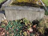 image of grave number 777006